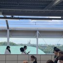 주식회사아워스 | 도쿄 디즈니랜드 < Tokyo Disneyland >