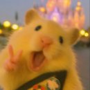 산미로(3-273) | 💖 밀파니카페 방문후기 | 쌀소금빵 미쳐 도라방스 진짜.. 달달하고 짭짤한 완벽조합 🍞💕내돈내산 후기