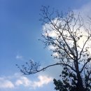 육거리순대 이미지