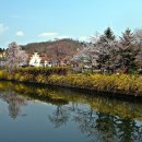 당구클럽 향기 이미지