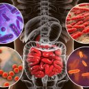 광제한의원 이미지