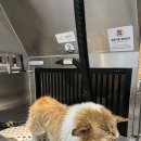 세기자동차세차장 이미지