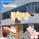 경주미소 | 경주 봉황당 카페 후기 / 황리단길 한옥카페 직접 다녀온 리얼 리뷰