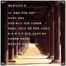 검도인 이미지