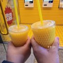 고망고광장