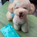 토니헬스케어 이미지