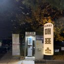 시민 | 행궁동 열기구 플라잉수원 가격,할인,예매 정보 수원시민 탑승 후기