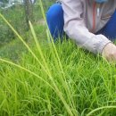 기상농장 이미지