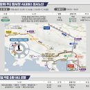 도천초등학교 | 2024년 진해 군항제 일정, 셔틀버스, 주차장, 추천 장소 (+2023년 진해 벚꽃 만개 시기)