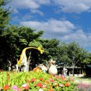 강원도립화목원 이미지