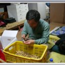 주밤농장 이미지