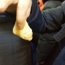 농사체험야영장 이미지