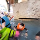 용인대 블랙벨트 태권도장 이미지