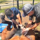 (주)이건메디칼 이미지