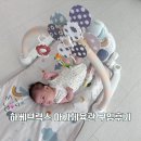 바람개비 | 국민육아템 하베브릭스 바람개비 아기체육관 구입후기(내돈내산/언박싱)