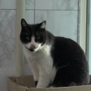 중랑경찰서 이미지