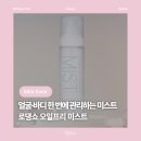 [뷰티] 로댕쇼 오일프리 페이스 앤 바디 미스트 후기｜오일프리 미스트 추천, 수분 미스트 추천으로...