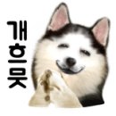 항플러스병원 이미지