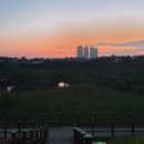 화정도서관 갤러리 꽃 이미지