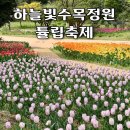 전남축제 장흥 가볼만한곳 하늘빛수목정원 튤립축제