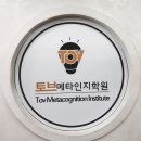 메타토브 이미지