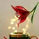 수연한의원 이미지