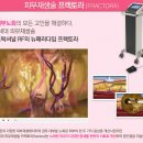 동안피부관리