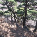 사곡1리 이미지