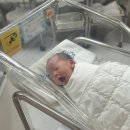 이십오호텔 내손본점 | 1월 일상 ㅣ 수제만두 ㅣ 아빠퇴임식 ㅣ 내가 이모라니 ㅣ 동탄 라떼맛집 ㅣ 동탄 중식맛집 ㅣ 동탄맛집...