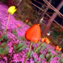 서산중앙병원 이미지