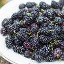 오디가개 이미지