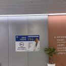 한마음산부인과 | 창원 한마음병원 산부인과 초진 예약하기, 임신 8주차 젤리곰, 심장소리 성별