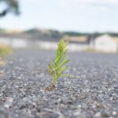 맛있는 세계여행 이미지