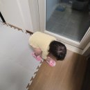 숙명키즈어린이집 | 겨울왕국 아동 덧신 | 쌍둥이 아빠의 유아실내화 찐 솔직 리뷰 (feat. 장단점 총정리)