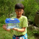 가리왕산 휴양림 이미지