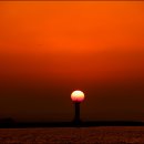 들꽃편지 이미지