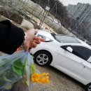 동섭농장 | [강좌후기] 한련화 수업