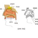 알레르기 비염Allergic rhinitis귀코목질환 이미지