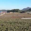 목화축산 한국일보