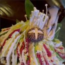 낭만애견 이미지