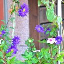 삼덕공원 이미지