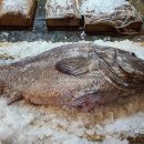 부산공동어시장 이미지