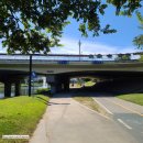 칠성교 | 대구 신천 플로깅 소규모 모임, 침산교에서 칠성교까지 충격적 후기