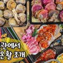 캠핑한잔 네이버블로그