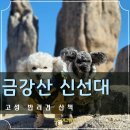 제2금강산 등산로입구 | 고성 애견동반 여행 금강산 신선대 반려견과 산책