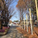 신장근린공원1 이미지