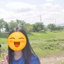 원주굽이길 원7코스 반계리은행나무길 이미지