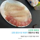 영일시장 | 신선한 회포장 강릉 중앙시장 회센터 영일수산 횟집 내돈내산 솔직후기