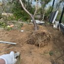 푸른 태양광발전소 이미지