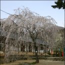 우천면복지회관 이미지